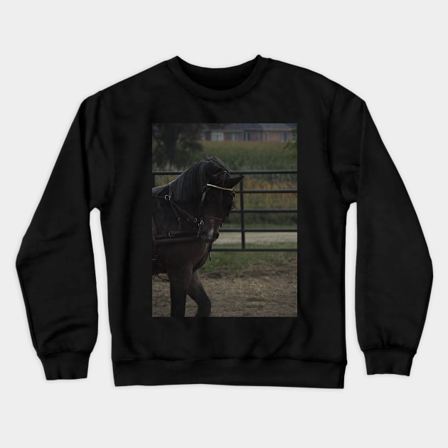 Horse show Crewneck Sweatshirt by theartsyeq